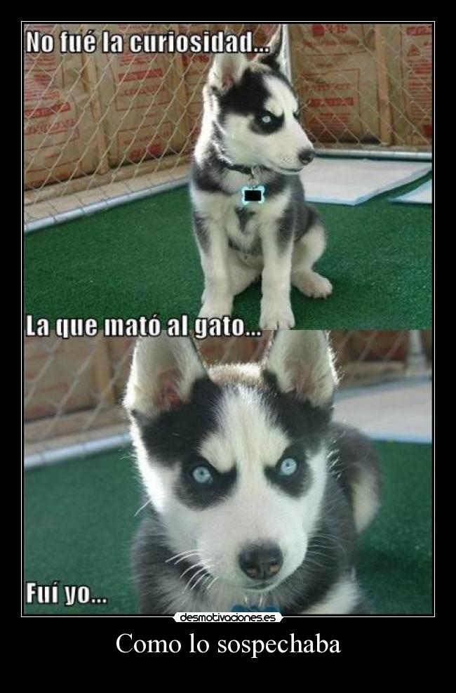 Como lo sospechaba -