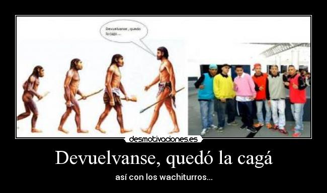 Devuelvanse, quedó la cagá - 