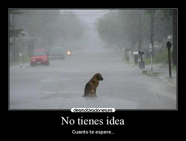 No tienes idea - Cuanto te espere...
