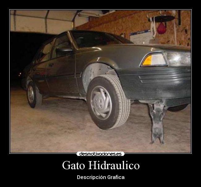 Gato Hidraulico - Descripción Grafica