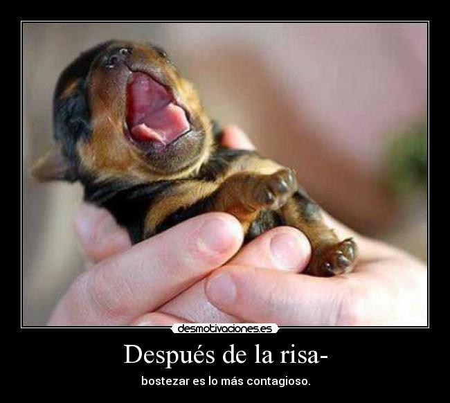 Después de la risa- -