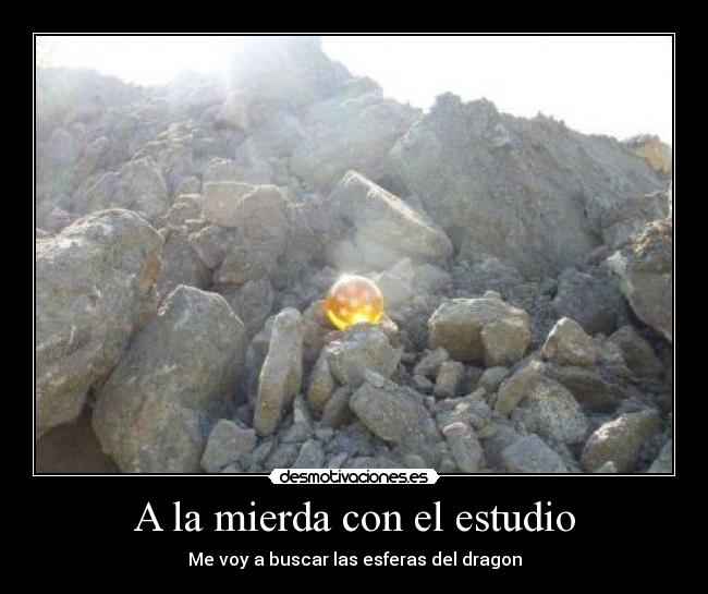 A la mierda con el estudio - Me voy a buscar las esferas del dragon