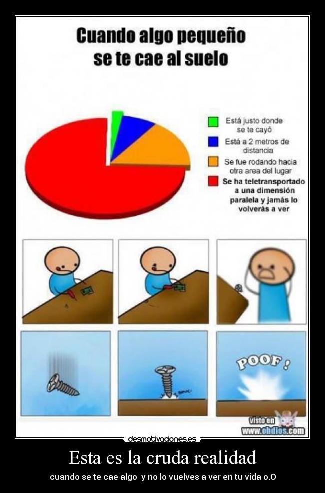 Esta es la cruda realidad - cuando se te cae algo y no lo vuelves a ver en tu vida o.O