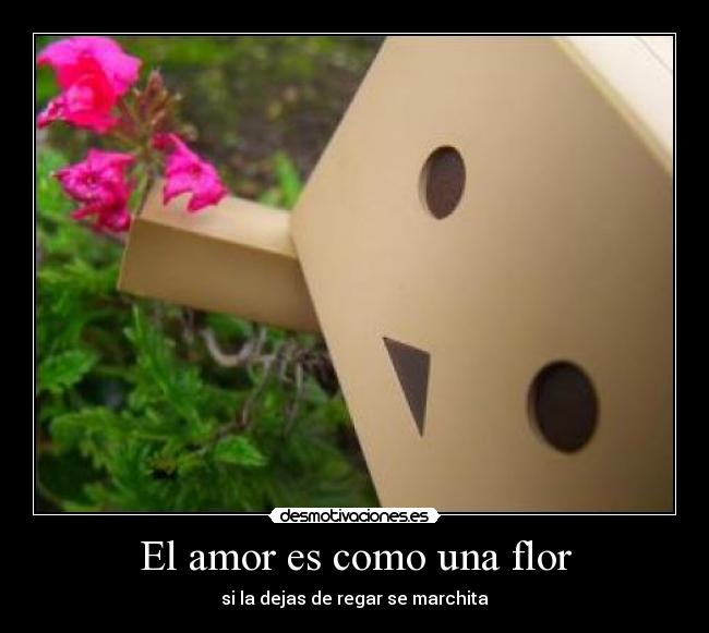 El amor es como una flor -