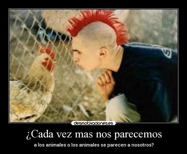 ¿Cada vez mas nos parecemos -