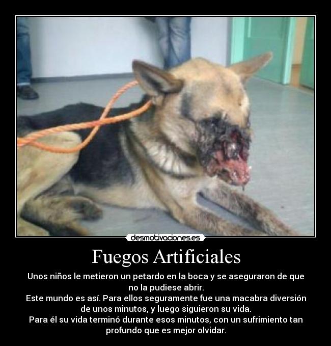 carteles ano nuevo desmotivaciones