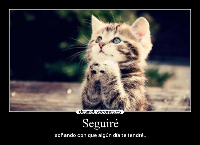 Seguiré - soñando con que algún día te tendré..
