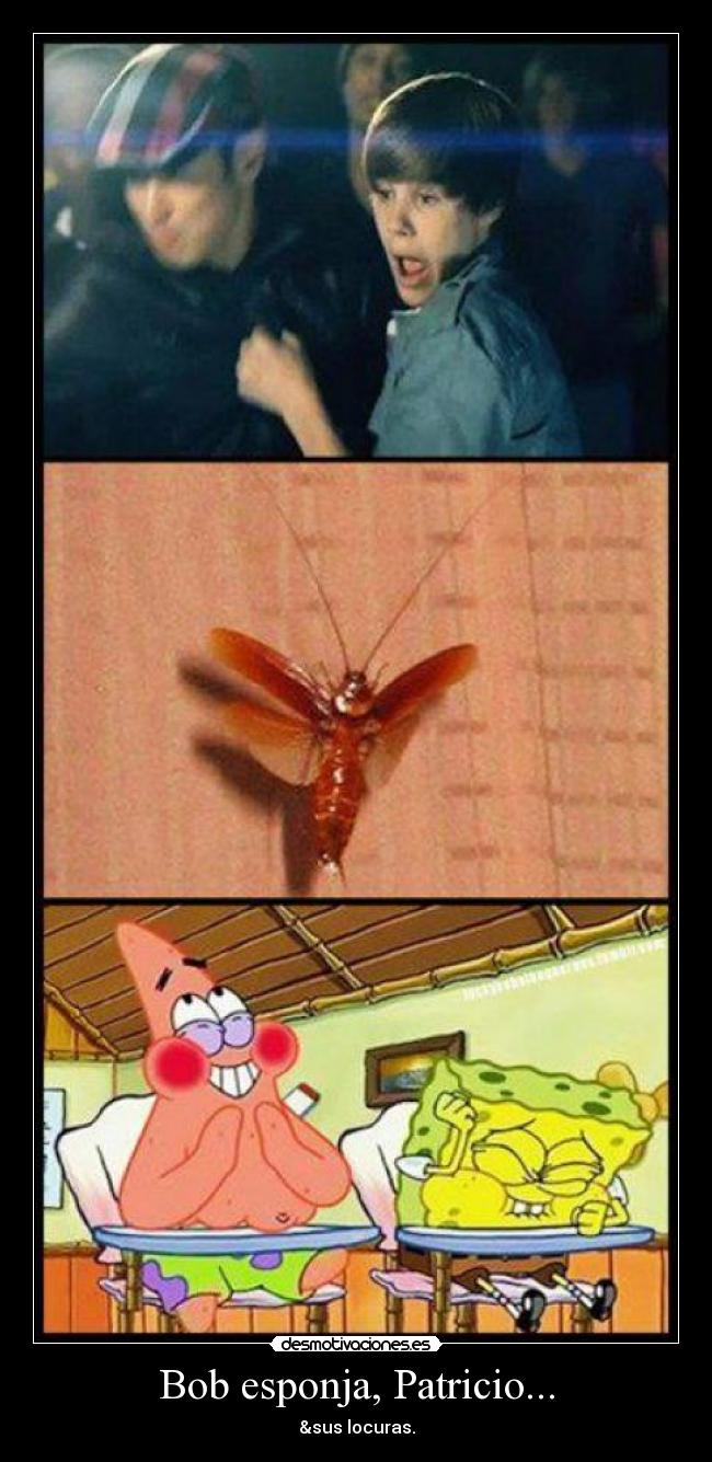 Bob esponja, Patricio... - 