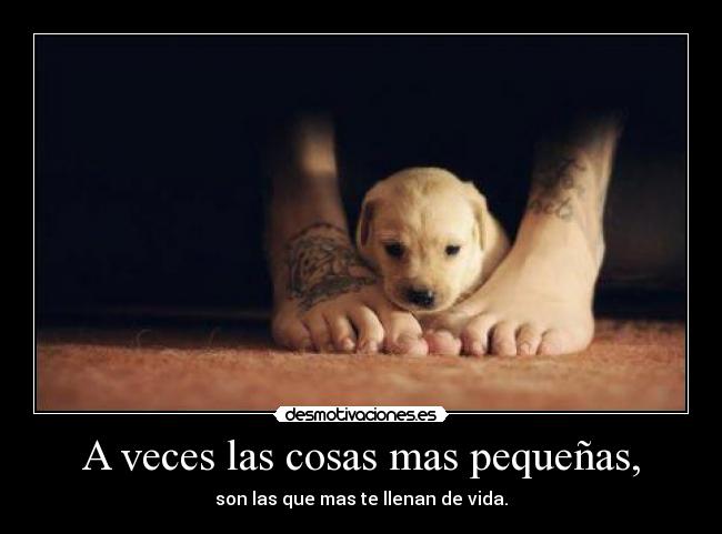 A veces las cosas mas pequeñas, - 