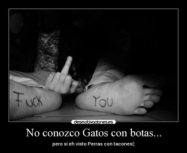 No conozco Gatos con botas... - 
