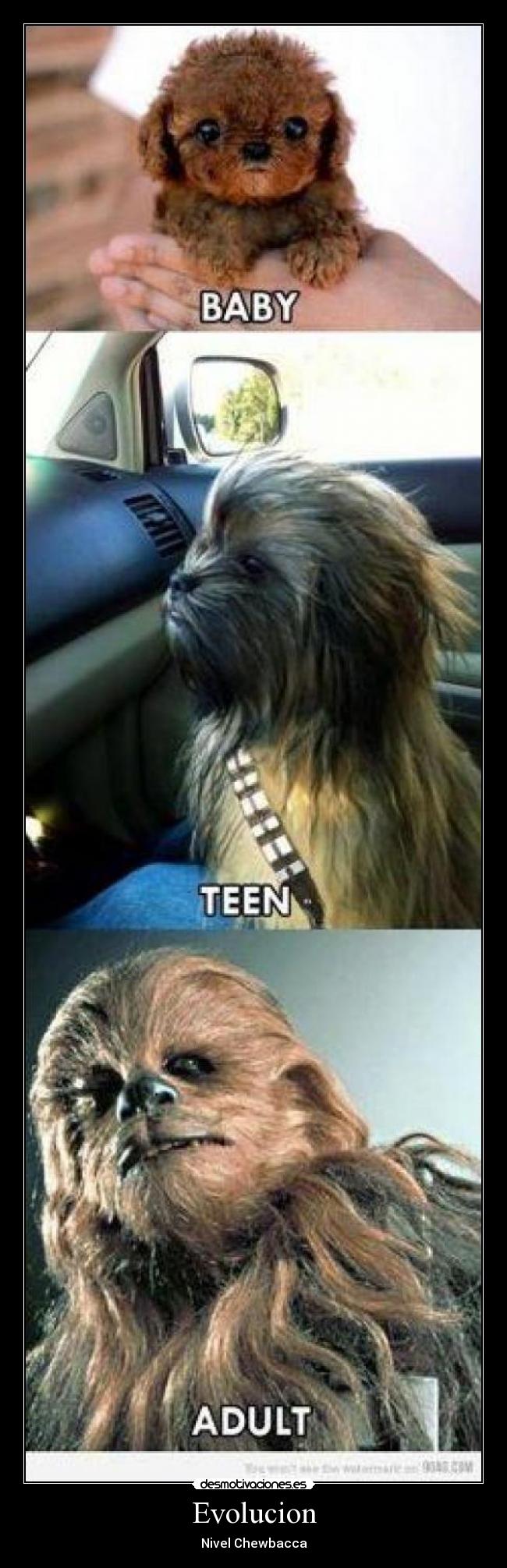 Evolucion - Nivel Chewbacca