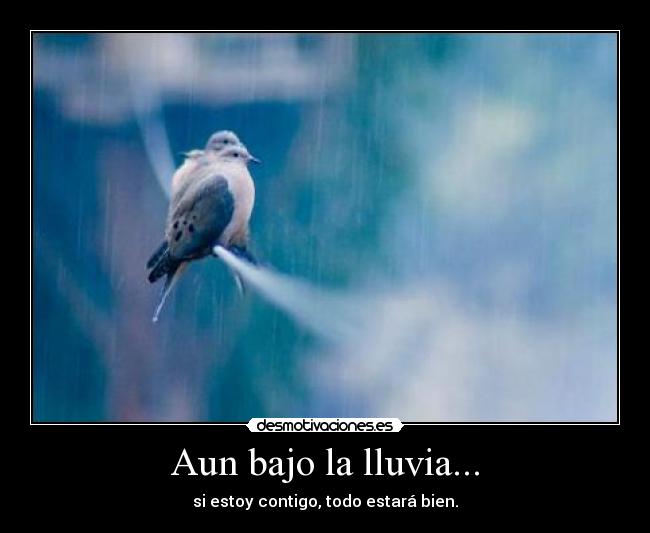 Aun bajo la lluvia... - 