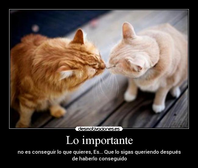 Lo importante -