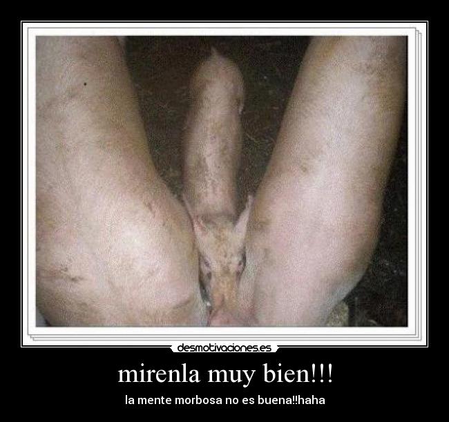 mirenla muy bien!!! - 