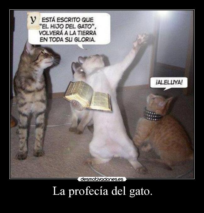 La profecía del gato. - 