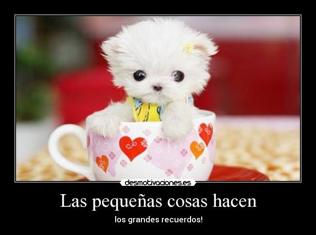 Las pequeñas cosas hacen - los grandes recuerdos!