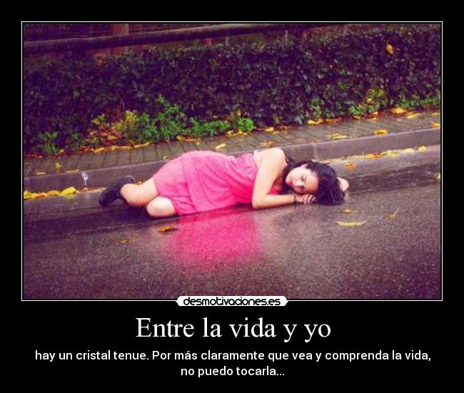 Entre la vida y yo -