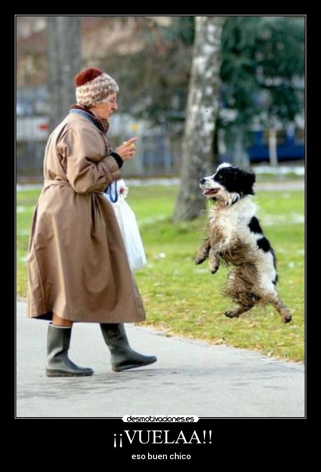 ¡¡VUELAA!! - eso buen chico
