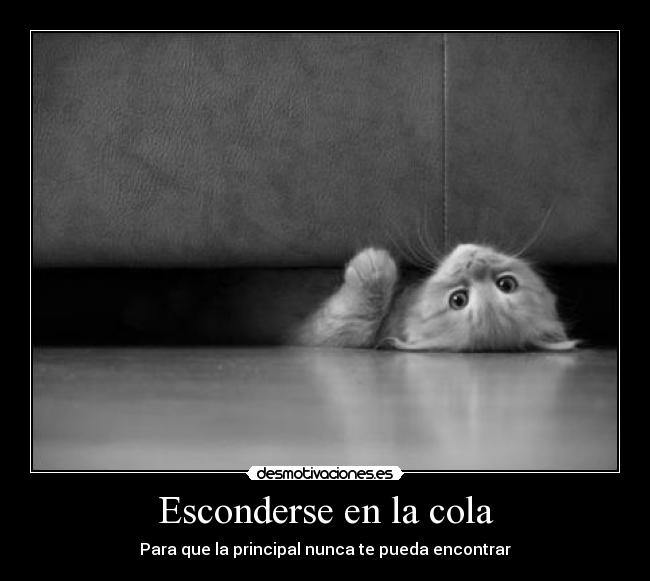 Esconderse en la cola - 