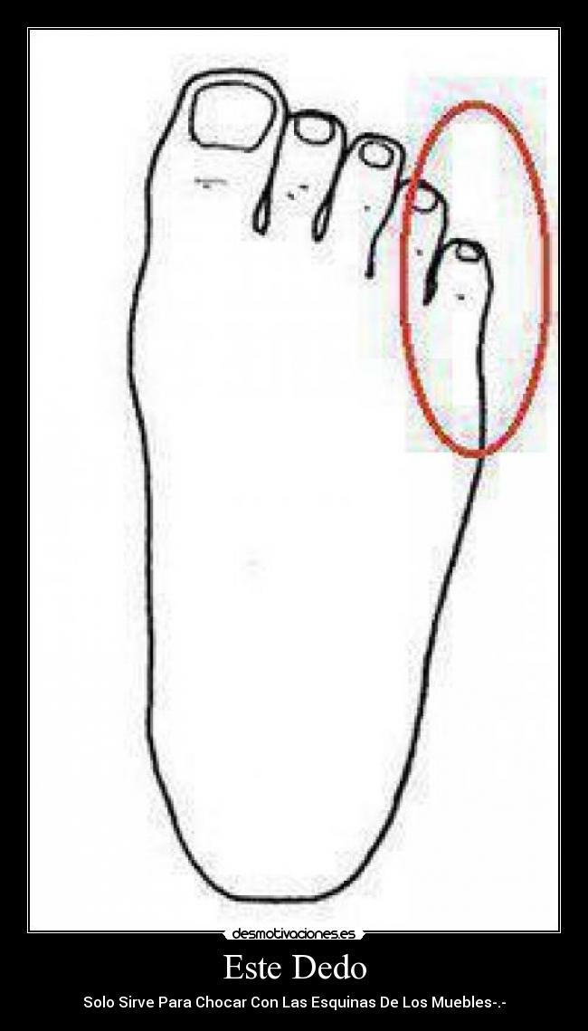 Este Dedo -