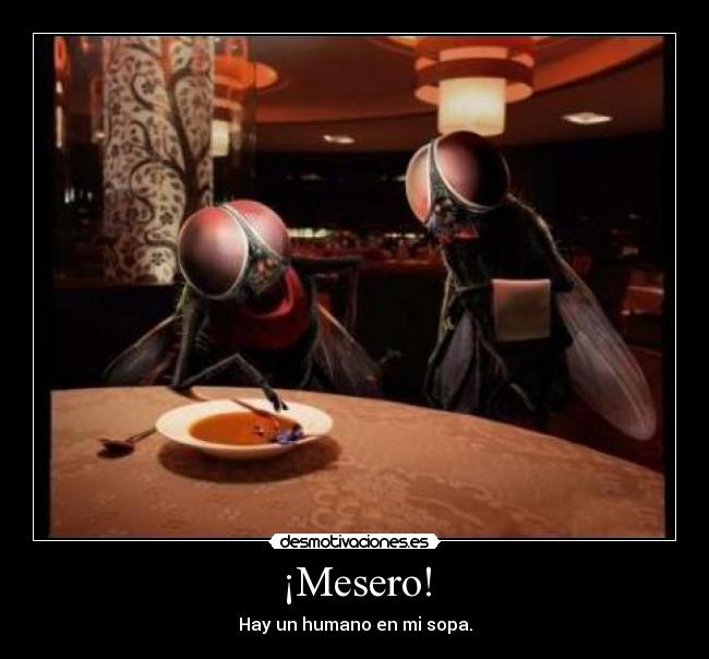 ¡Mesero! - Hay un humano en mi sopa.