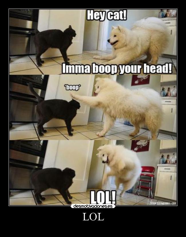 LOL -