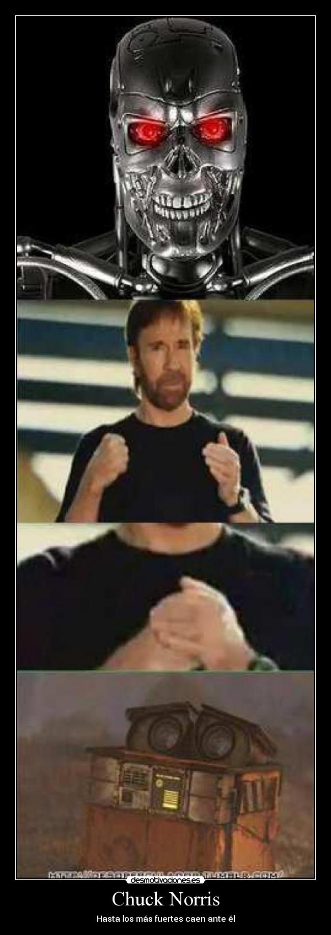 Chuck Norris - Hasta los más fuertes caen ante él