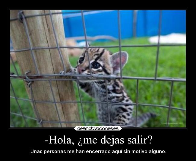 -Hola, ¿me dejas salir? - 