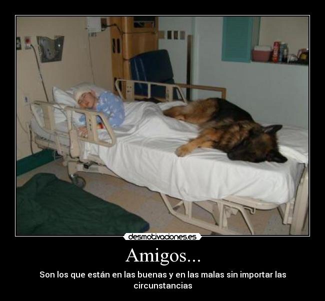 Amigos... -