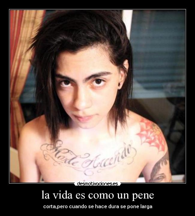 la vida es como un pene - 