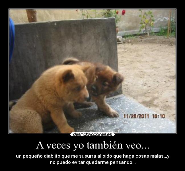 A veces yo también veo... - un pequeño diablito que me susurra al oido que haga cosas malas...y
no puedo evitar quedarme pensando...