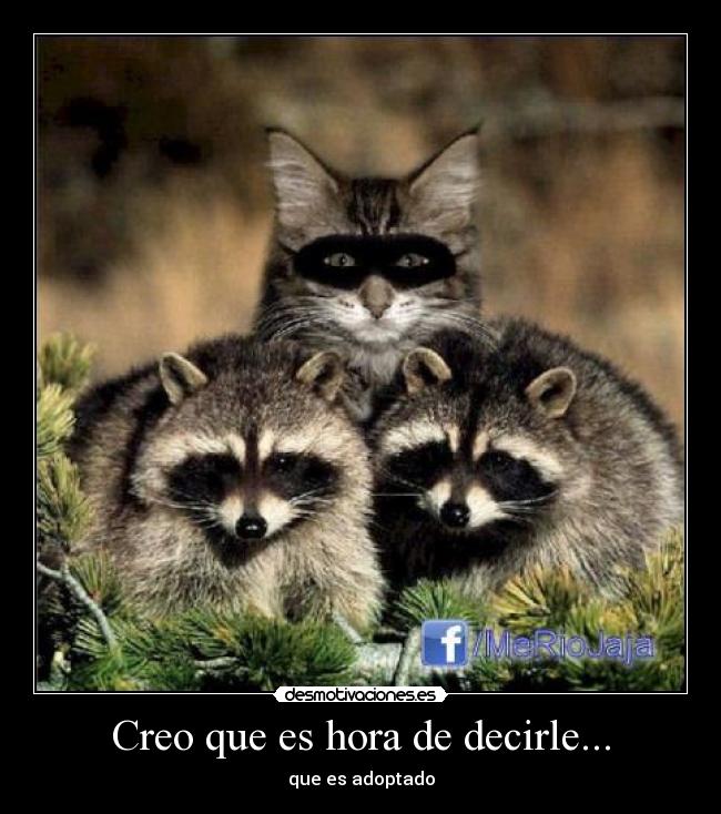 carteles adoptado desmotivaciones