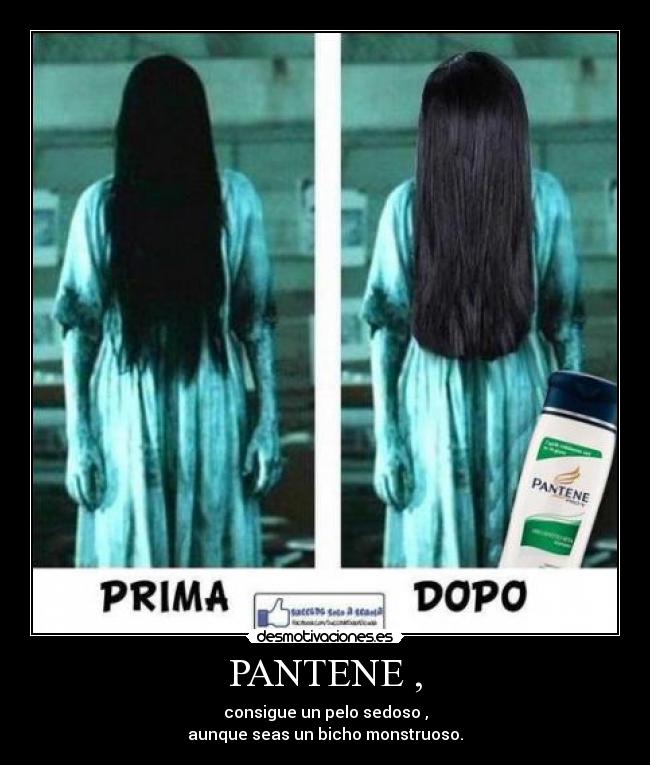 carteles chepollo desmotivaciones