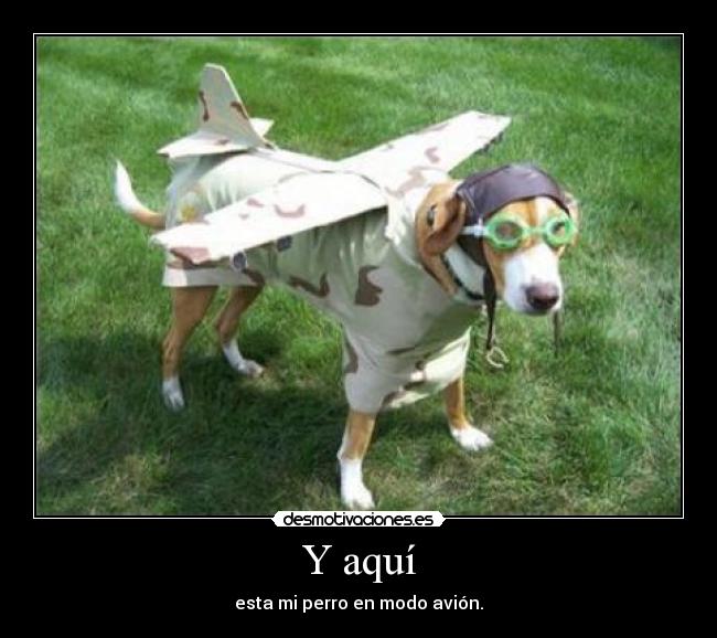 Y aquí - esta mi perro en modo avión.