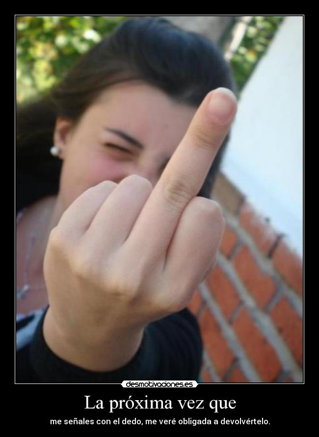 carteles dog desmotivaciones