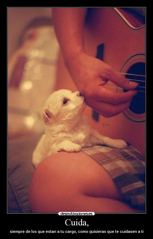 Cuida, -