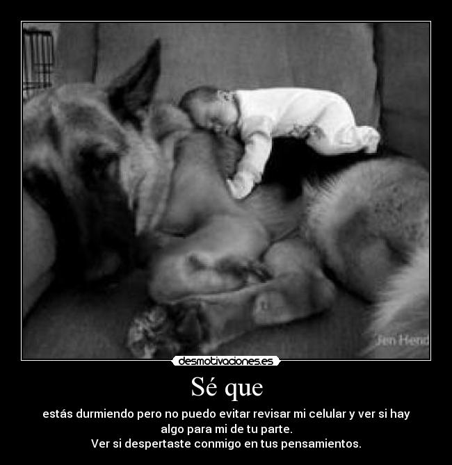 carteles wehehehehehhee desmotivaciones