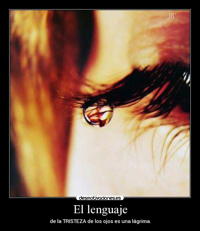 El lenguaje - de la TRISTEZA de los ojos es una lágrima.