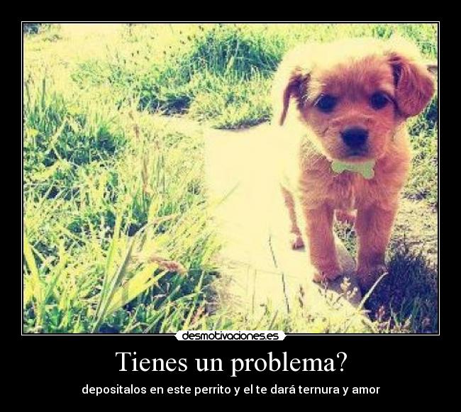 Tienes un problema? -