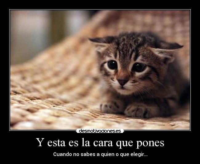 carteles giorgina barragan desmotivaciones