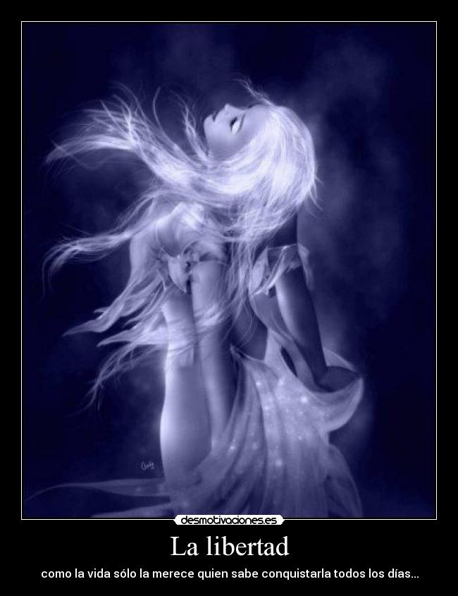 carteles libertad alishia desmotivaciones