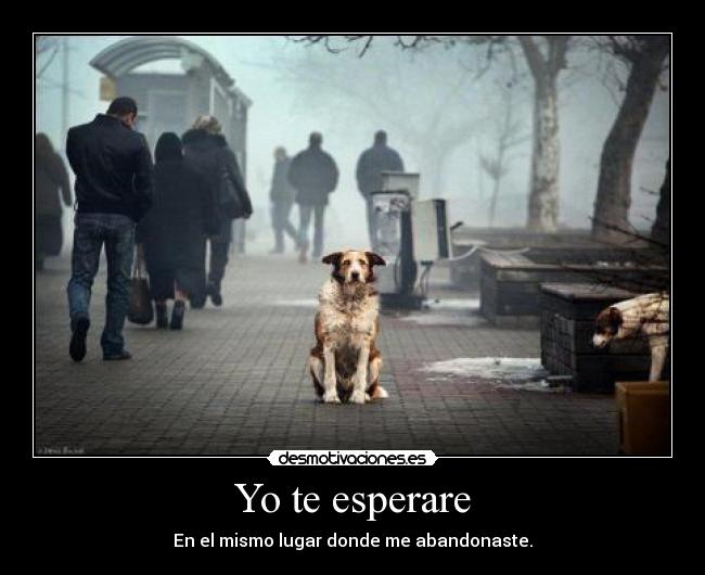 Yo te esperare - En el mismo lugar donde me abandonaste.