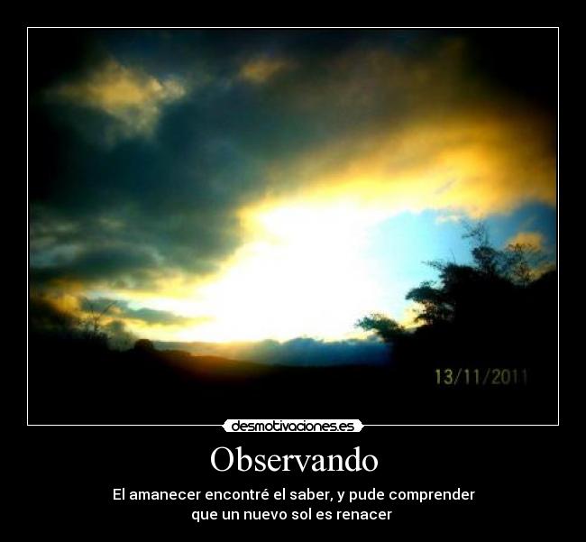 Observando - El amanecer encontré el saber, y pude comprender
que un nuevo sol es renacer ♥