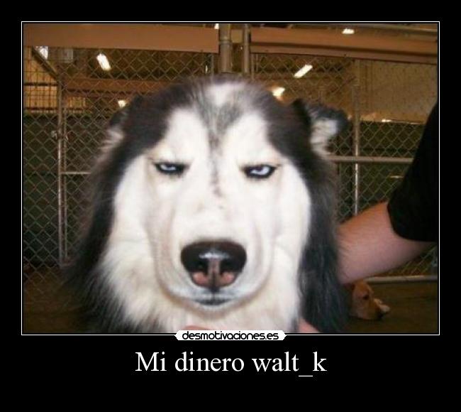Mi dinero walt_k -