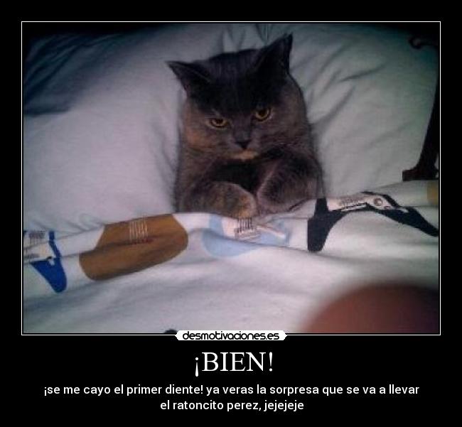 ¡BIEN! - 