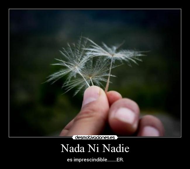 carteles nada nadie imprescindible desmotivaciones