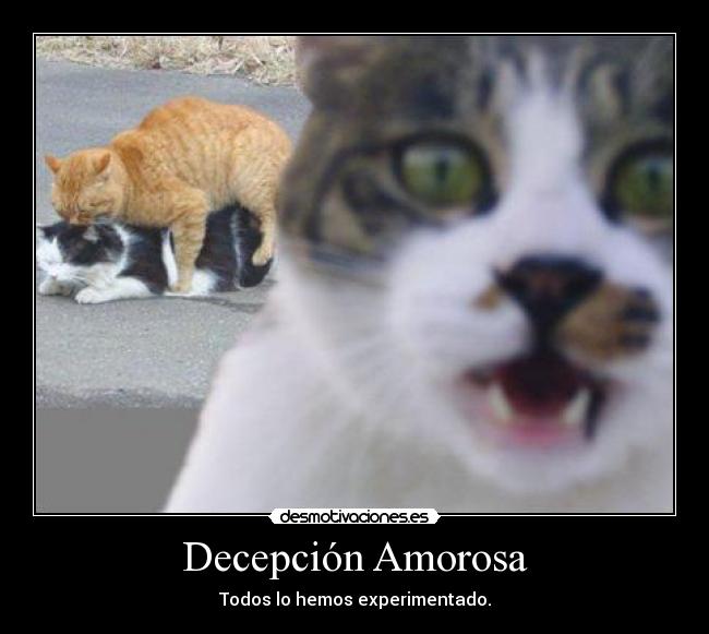 Decepción Amorosa - Todos lo hemos experimentado.