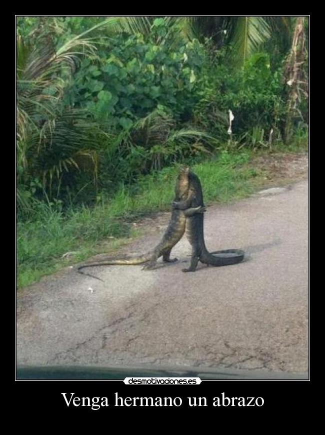 Venga hermano un abrazo -