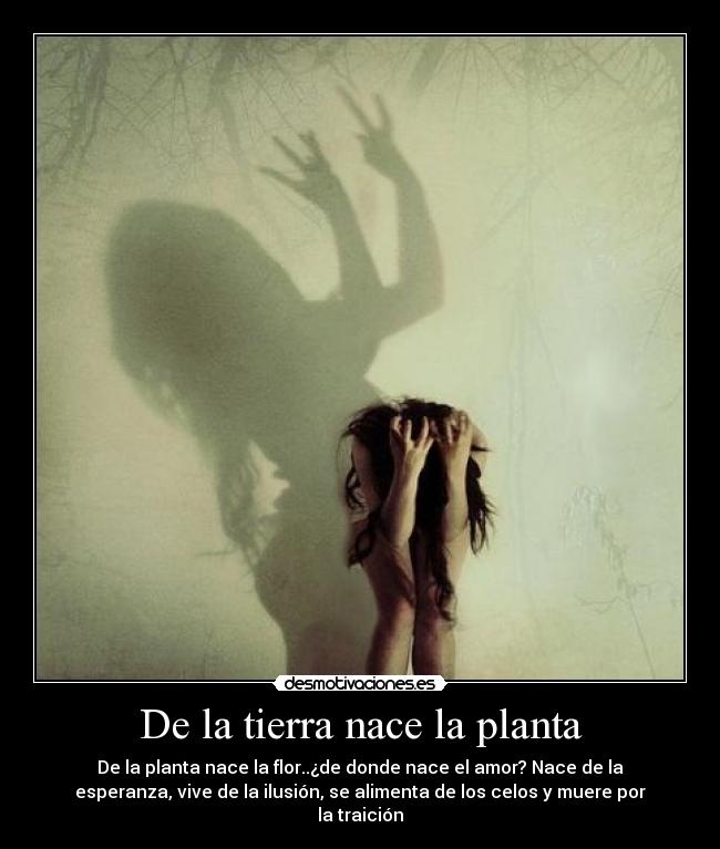 De la tierra nace la planta -