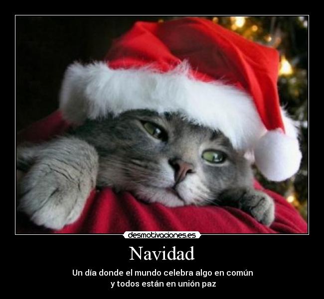 Navidad - 